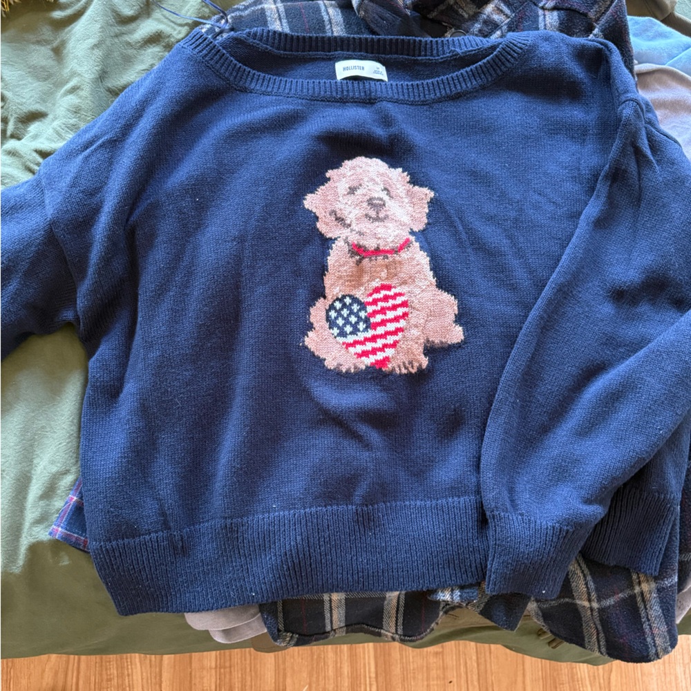 Hollister Navy Sweater with Dog and Heart Design